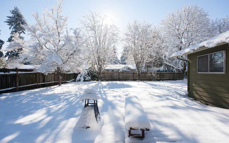 Snowy backyard.