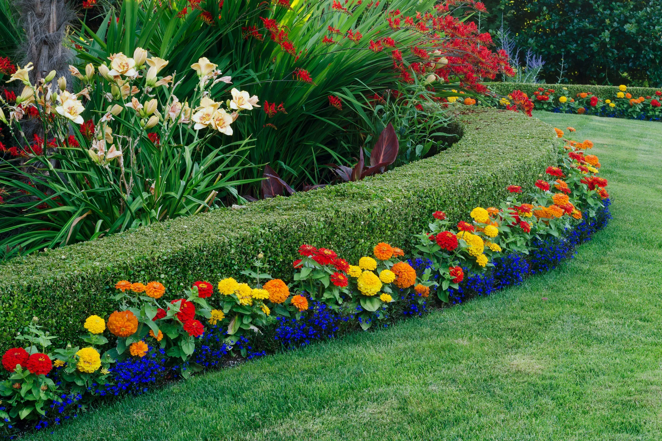 Nicely manicured yard.