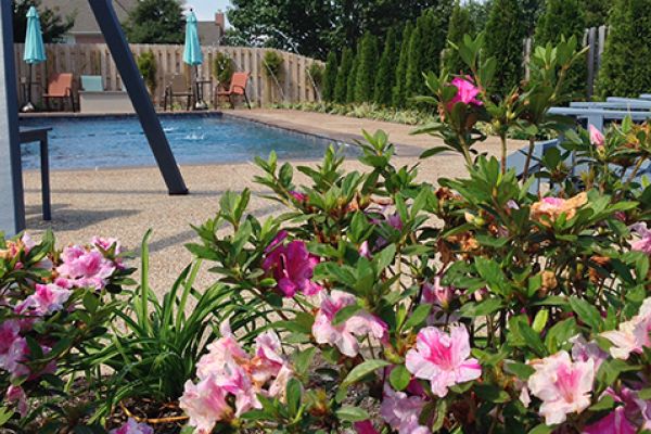 spring landscaping