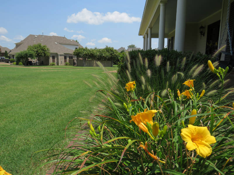 A properly prepared flower bed will produce quality results.