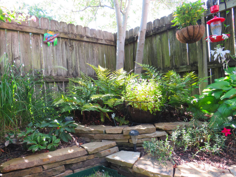 A flower be with placed ferns requiring a healthy soil with shade.
