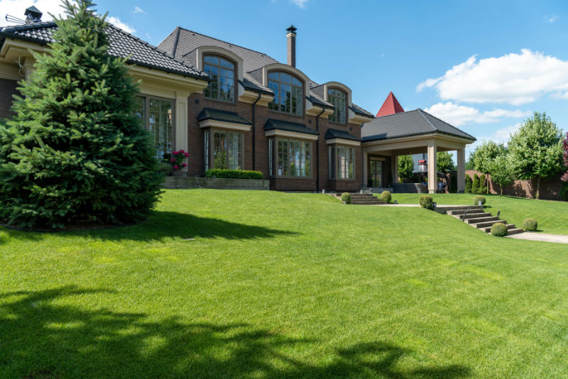 Regular lawn maintenance keeps your turf grass free from debris and heathy looking.