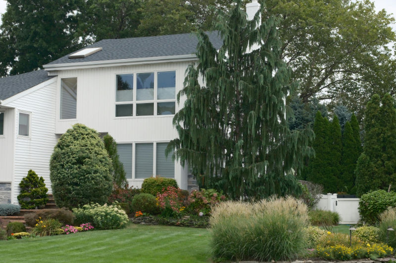 A well maintained landscape with home in the background.