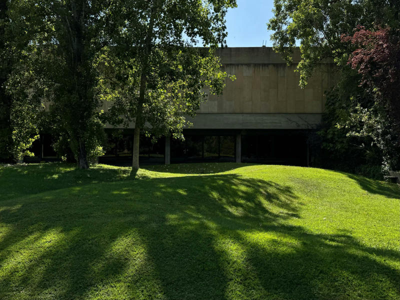 Commercial property turf grass that is healthy.