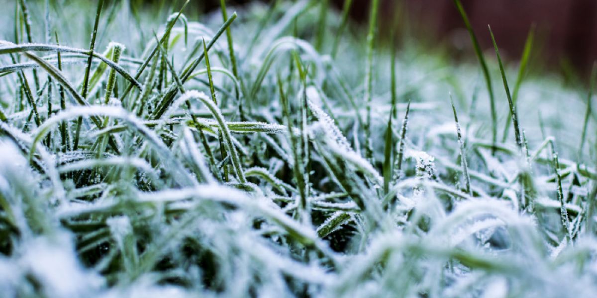 Winterizing your garden.
