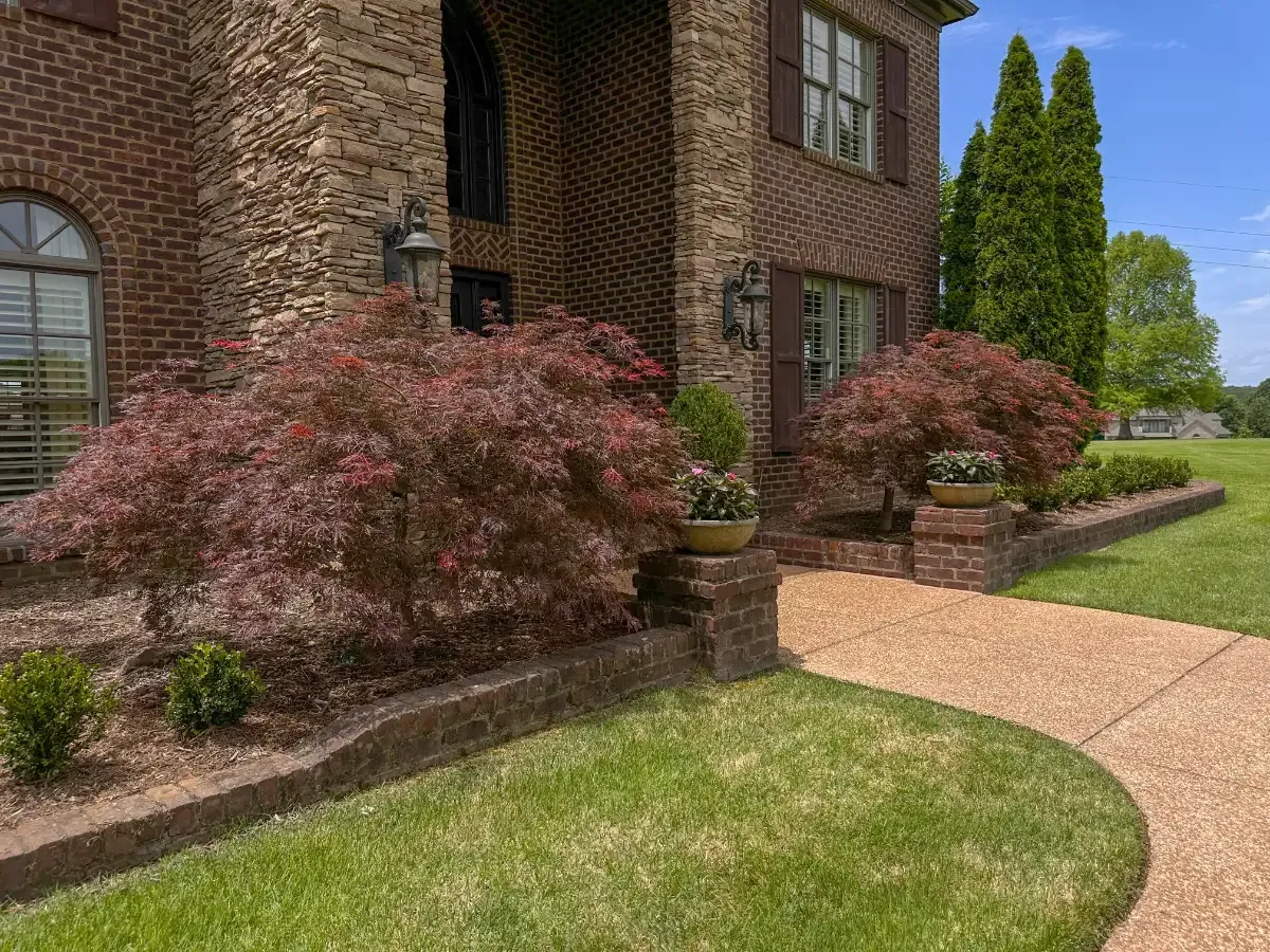 Front yard landscaping in TN.