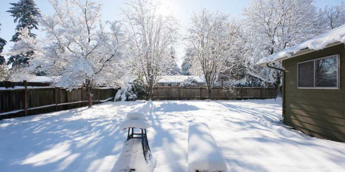 Snowy backyard.