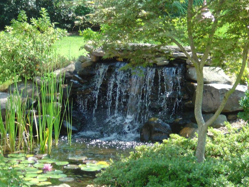Serene waterfall over natural stone koi pond.