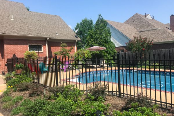 backyard-pool-shrub-bush-area