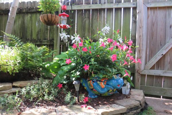 flower-bed-landscape-design