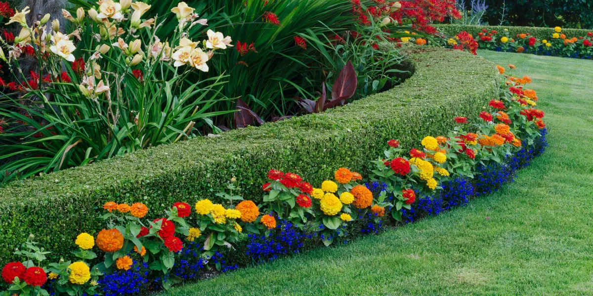 Nicely manicured yard.