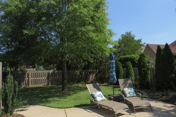 lawn-chair-tree-landscape-area