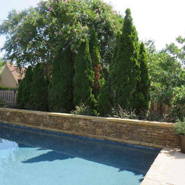 Retaining wall is a very functional yet can add beauty.