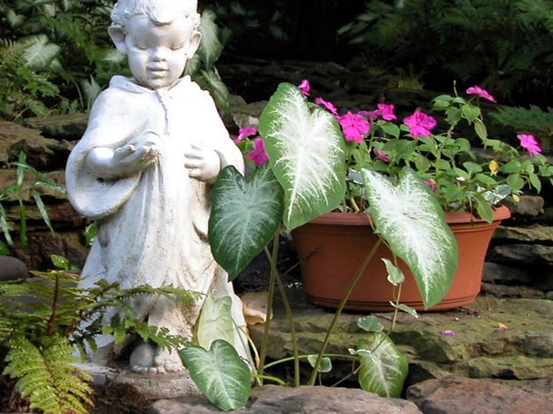 Statuette in a lush flower bed.