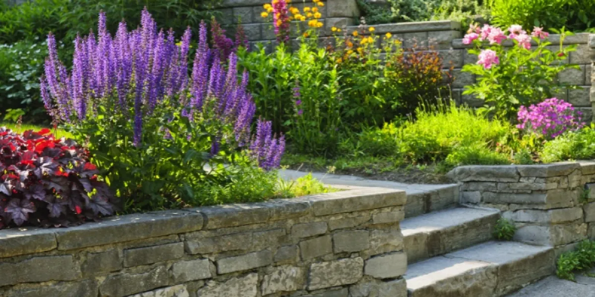 Stone walkway through a garden.