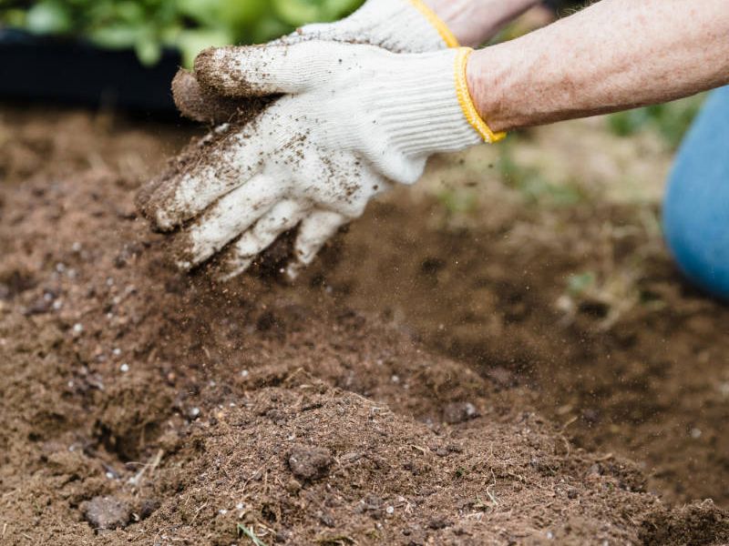 Landscape installer handling soil mixture.